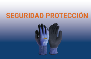 Seguridad Protección